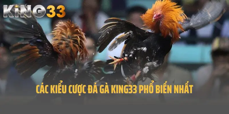 Các kiểu cược đá gà King33 phổ biến nhất