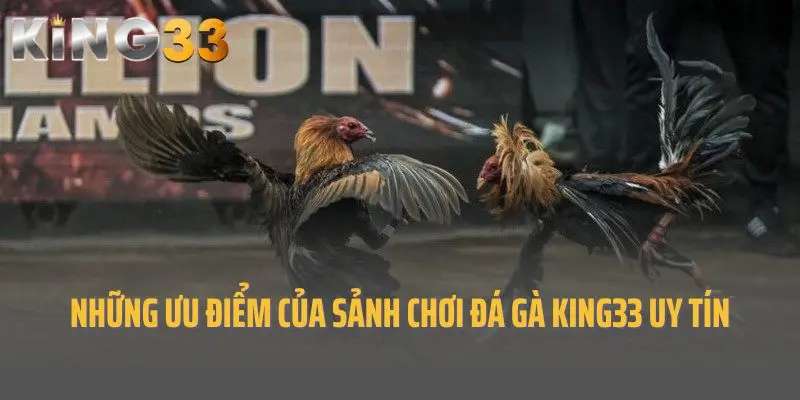 Những ưu điểm của sảnh chơi đá gà King33 uy tín