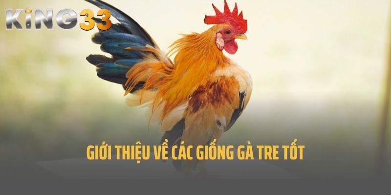 Giới thiệu về các giống gà tre tốt